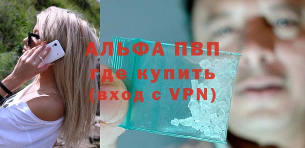 прущие грибы Белокуриха