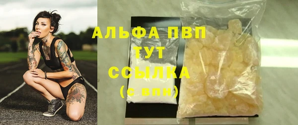 сатива Богданович