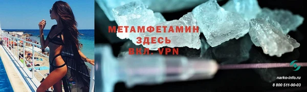 прущие грибы Белокуриха