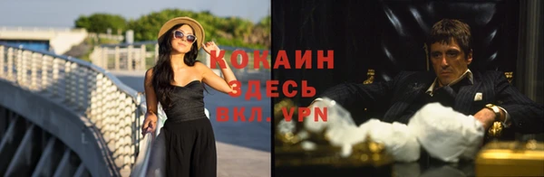 сатива Богданович