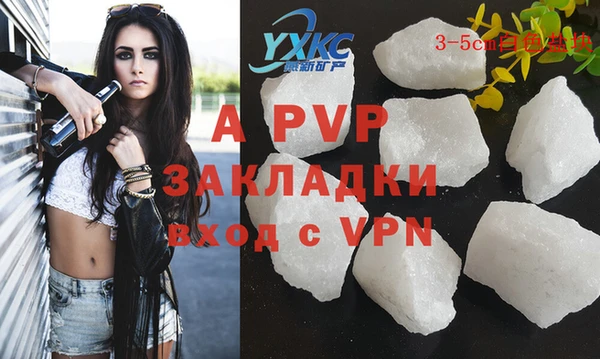 индика Беломорск