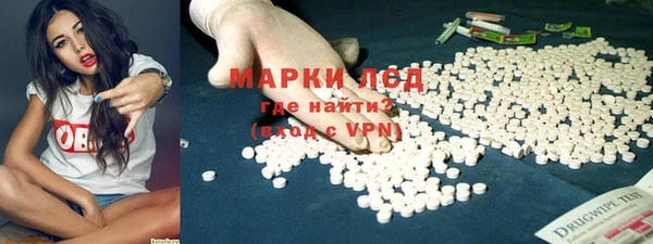 индика Беломорск