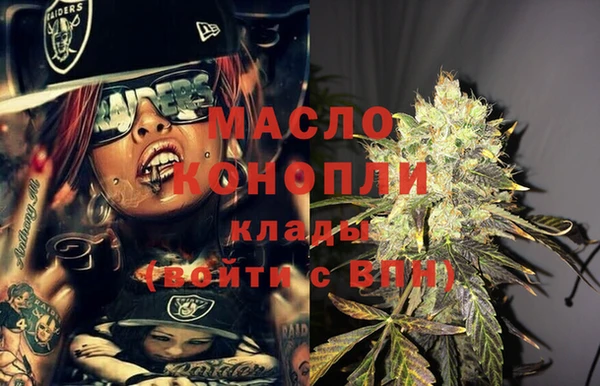 индика Беломорск