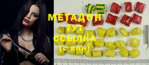 прущие грибы Белокуриха