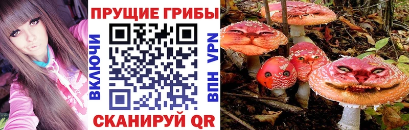 Галлюциногенные грибы мицелий  Вельск 